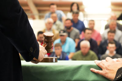 crowd at an auction