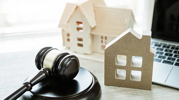 How to win auction sales